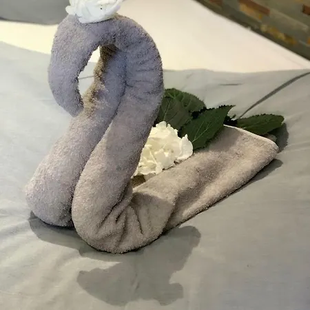 Design Centre Daire *